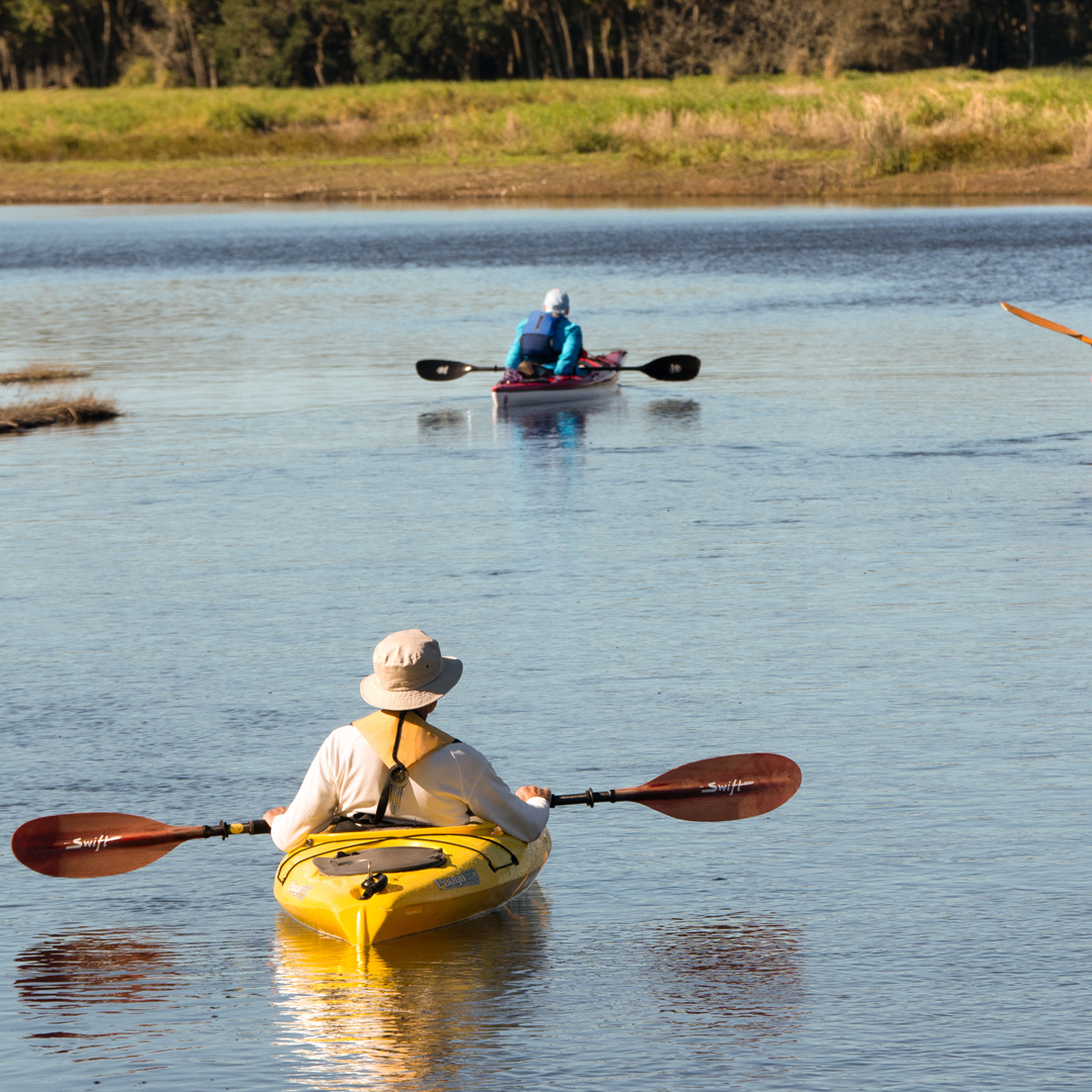 Kayak